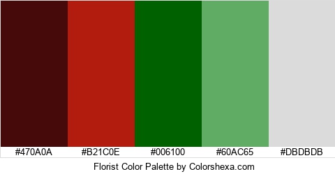 Florist Color Colors Logo