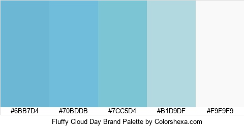 Fluffy Cloud Day Brand Colors Logo