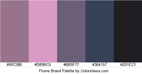 Flume Brand Colors Logo