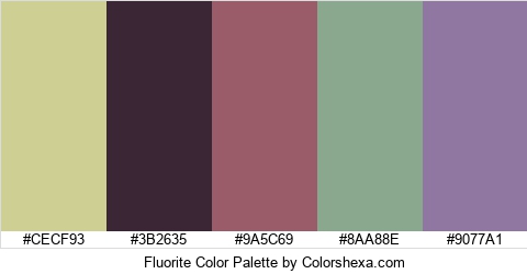Fluorite Color Colors Logo