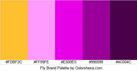 Fly Brand Colors Logo