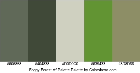 Foggy Forest Af Palette Colors Logo