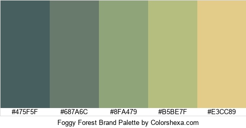 Foggy Forest Brand Colors Logo