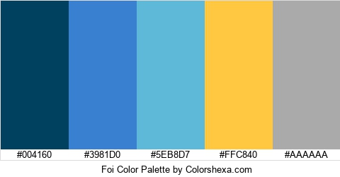 Foi Color Colors Logo