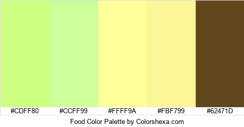 Food Color Colors Logo