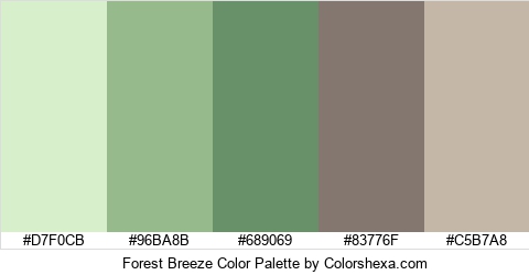 Forest Breeze Color Colors Logo