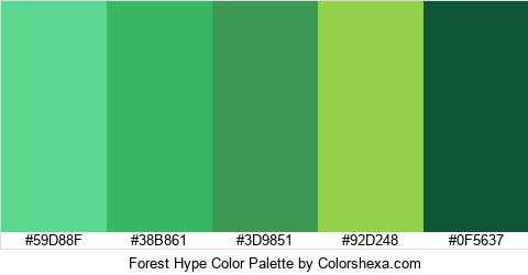 Forest Hype Color Colors Logo