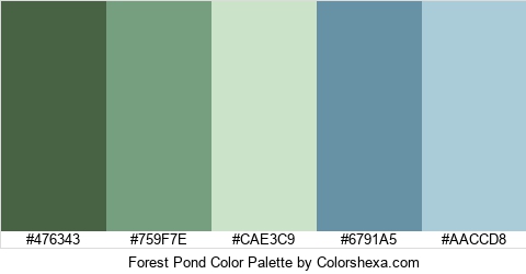 Forest Pond Color Colors Logo