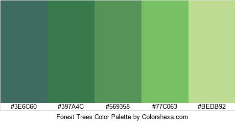 Forest Trees Color Colors Logo