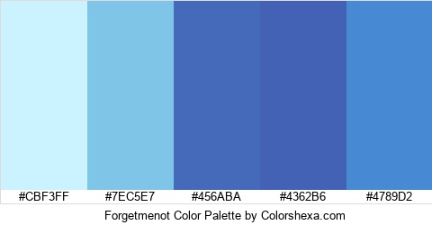 Forgetmenot Color Colors Logo