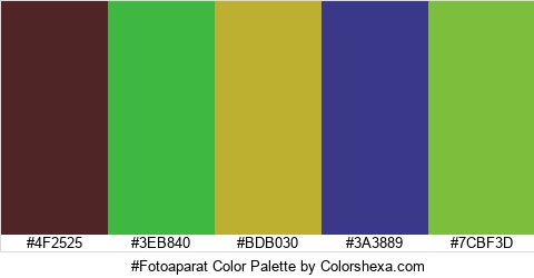 #Fotoaparat Color Colors Logo