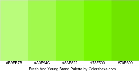 Fresh And Young Brand Colors Logo