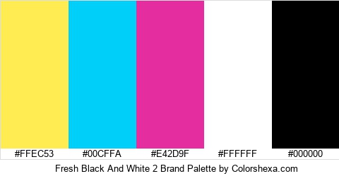 Fresh Black And White 2 Brand Colors Logo