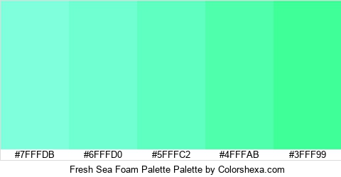 Fresh Sea Foam Palette Colors Logo