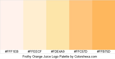 Frothy Orange Juice Logo Colors Logo