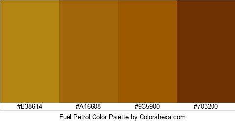 Fuel Petrol Color Colors Logo
