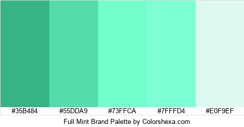Full Mint Brand Colors Logo