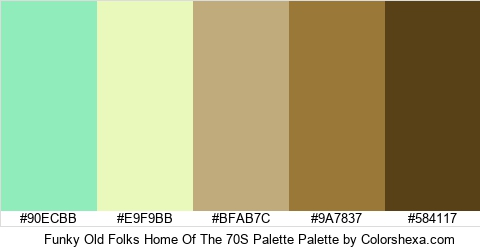 Funky Old Folks Home Of The 70S Palette Colors Logo