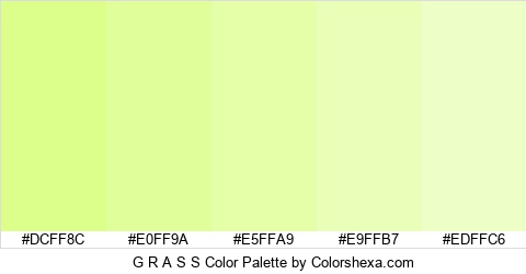 G R A S S Color Colors Logo