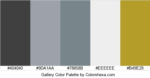 Gallery Color Colors Logo