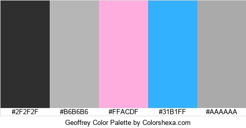 Geoffrey Color Colors Logo