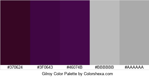 Gilroy Color Colors Logo