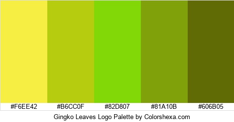 Gingko Leaves Logo Colors Logo