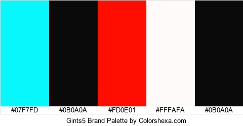 Gints5 Brand Colors Logo