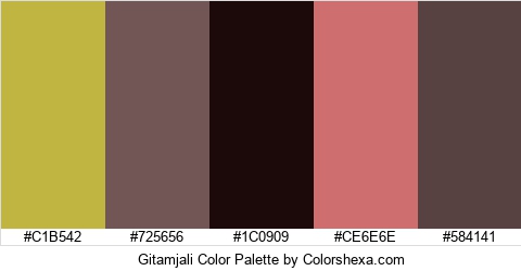 Gitamjali Color Colors Logo