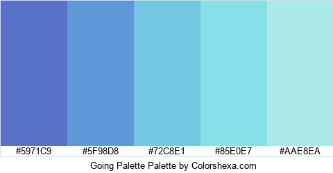Going Palette Colors Logo