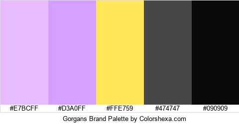 Gorgans Brand Colors Logo
