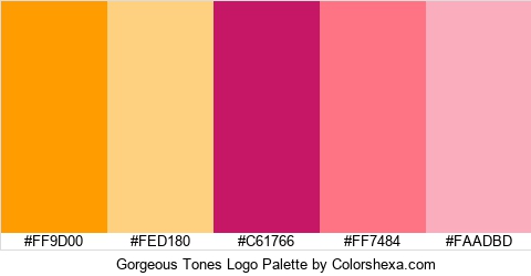Gorgeous Tones Logo Colors Logo