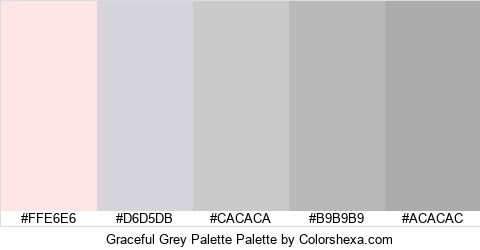 Graceful Grey Palette Colors Logo