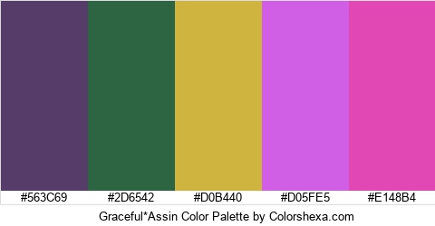 Graceful*Assin Color Colors Logo