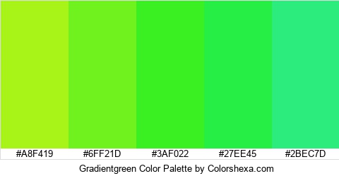 Gradientgreen Color Colors Logo