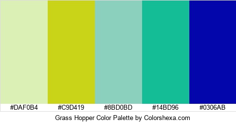 Grass Hopper Color Colors Logo