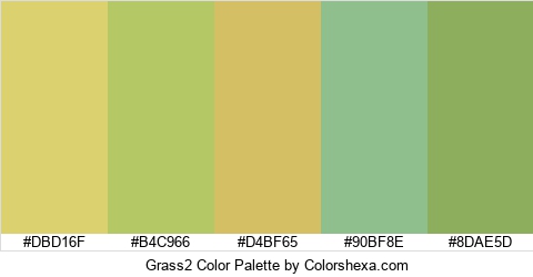 Grass2 Color Colors Logo