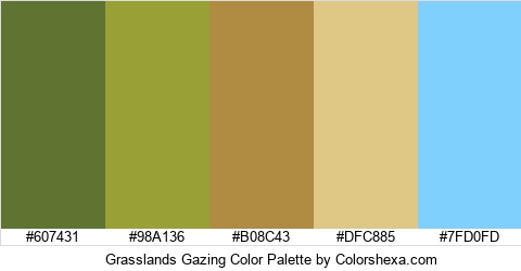 Grasslands Gazing Color Colors Logo