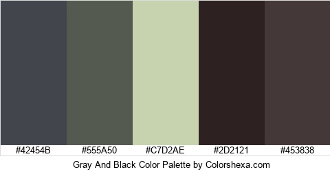 Gray And Black Color Colors Logo