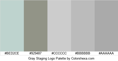 Gray Staging Logo Colors Logo