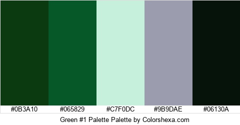 Green #1 Palette Colors Logo