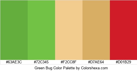 Green Bug Color Colors Logo