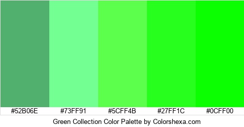 Green Collection Color Colors Logo