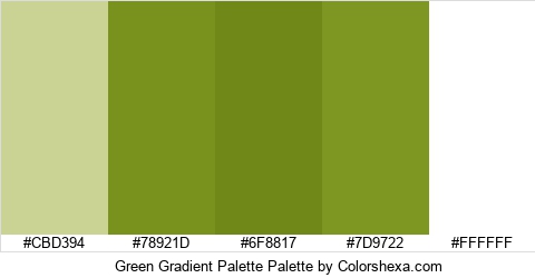 Green Gradient Palette Colors Logo