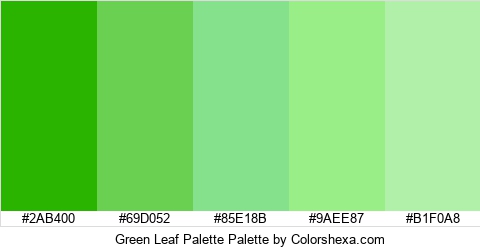 Green Leaf Palette Colors Logo
