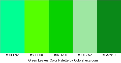 Green Leaves Color Colors Logo