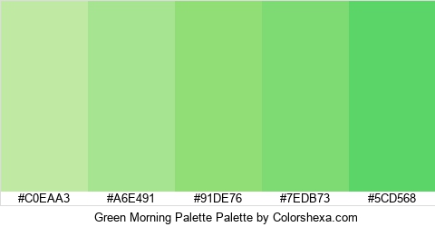 Green Morning Palette Colors Logo