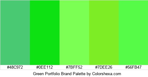 Green Portfolio Brand Colors Logo
