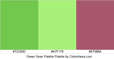 Green Sean Palette Colors Logo