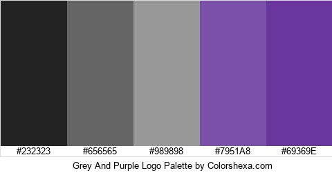 Grey And Purple Logo Colors Logo